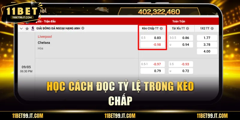 Học cách đọc tỷ lệ trong kèo chấp
